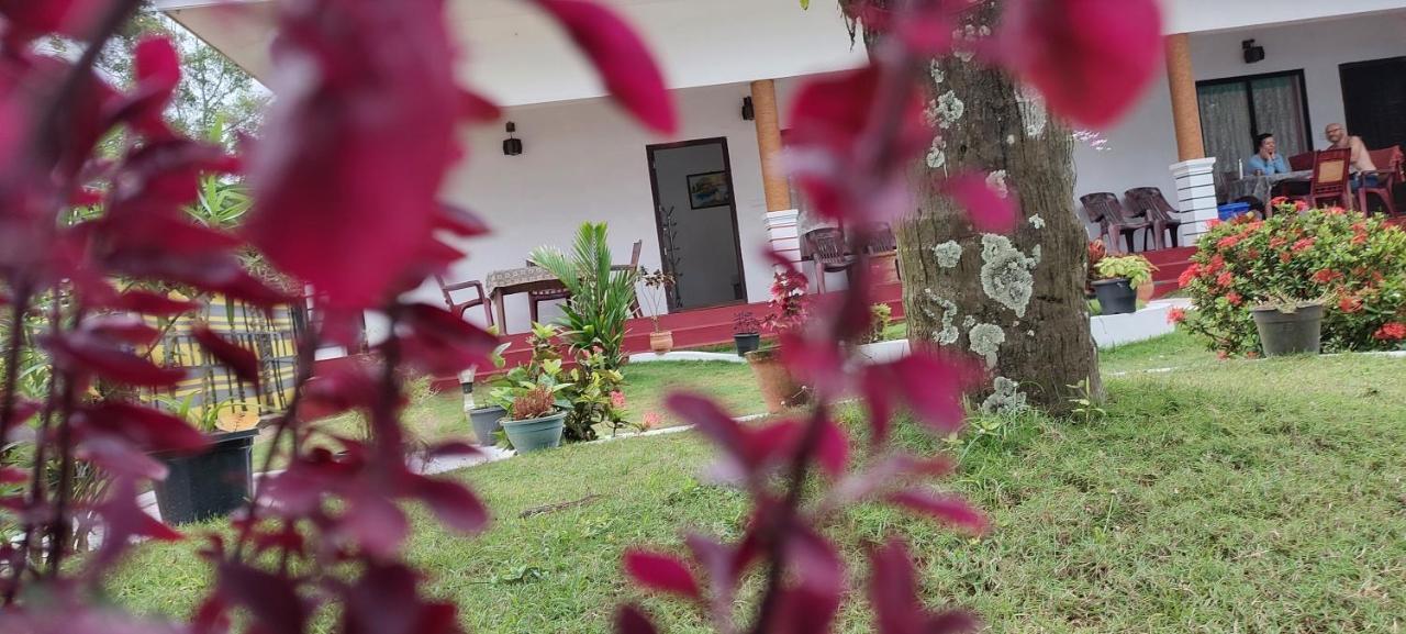 Marari Phoenix Beach Homestay Mararikulam Exterior photo